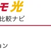 ドコモ光 オプション